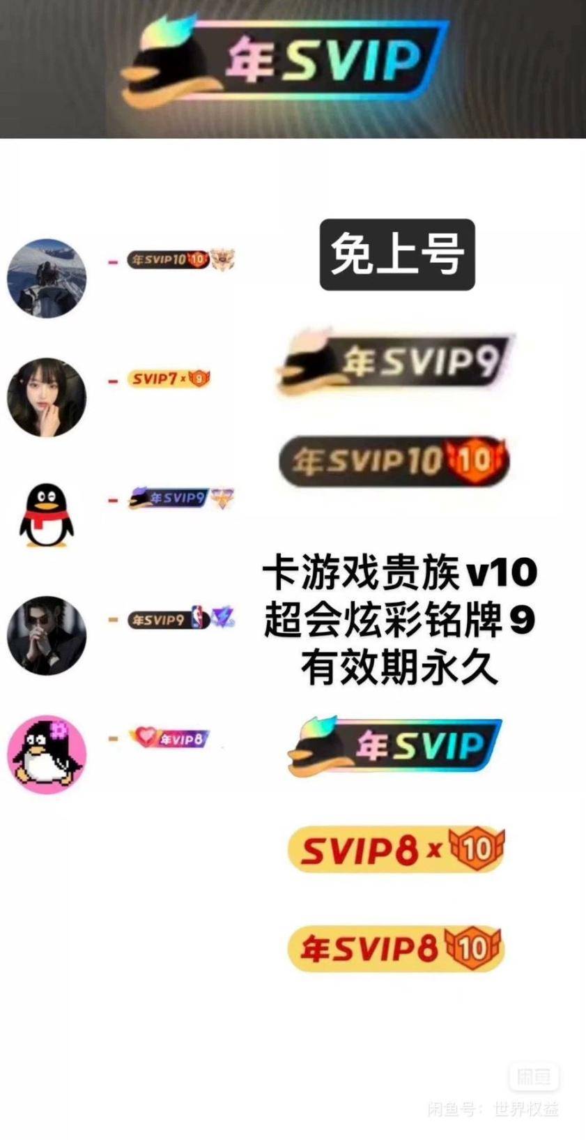 【自助操作】铭牌1积分代充，积分可在说明网站中兑换领取铭牌，请先看说明再下单